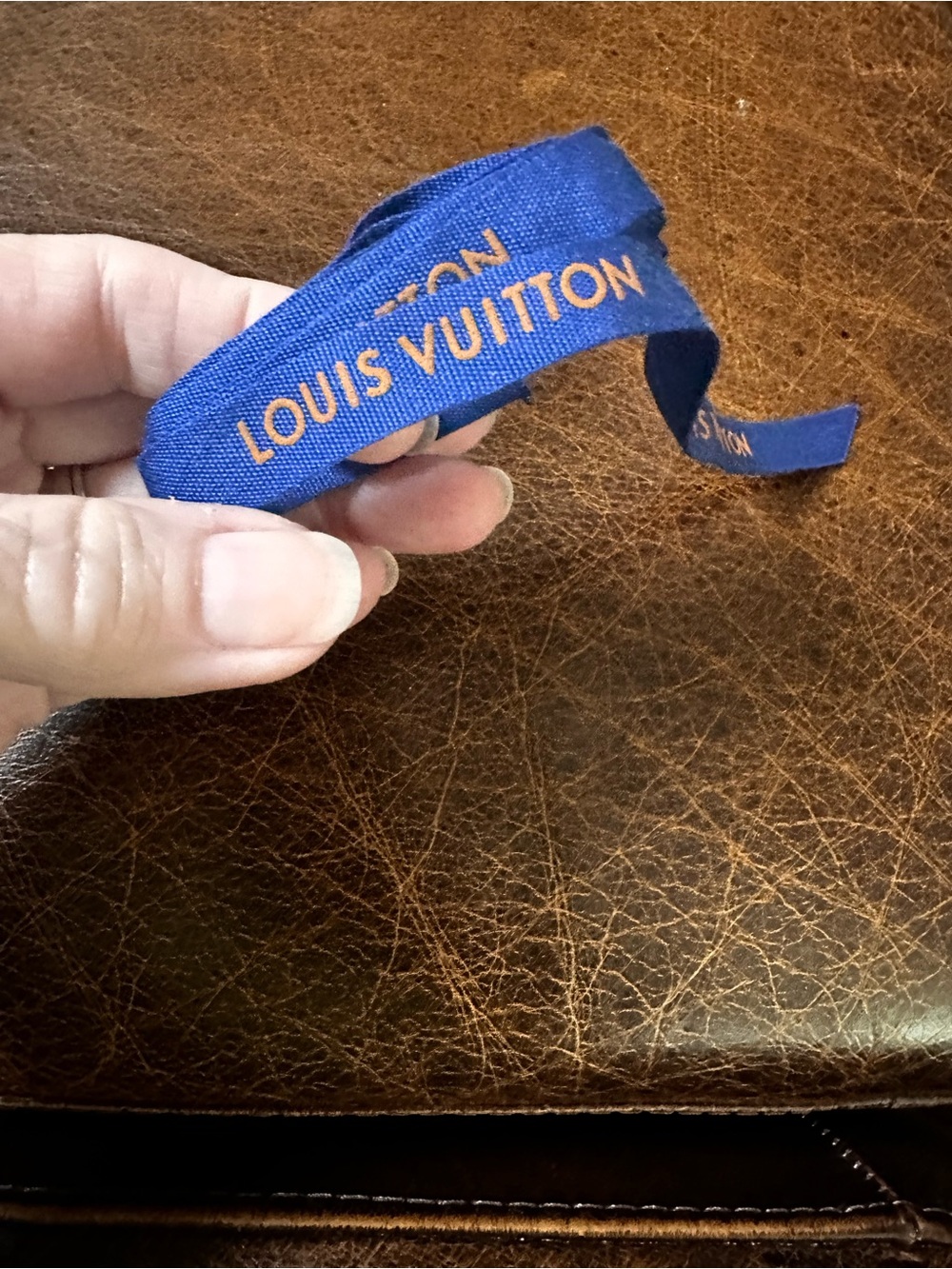 LOUIS VUITTON Blue Ribbon Accent